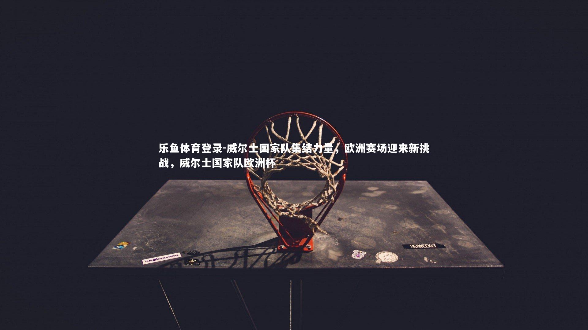 威尔士国家队集结力量,欧洲赛场迎来新挑战,威尔士国家队欧洲杯