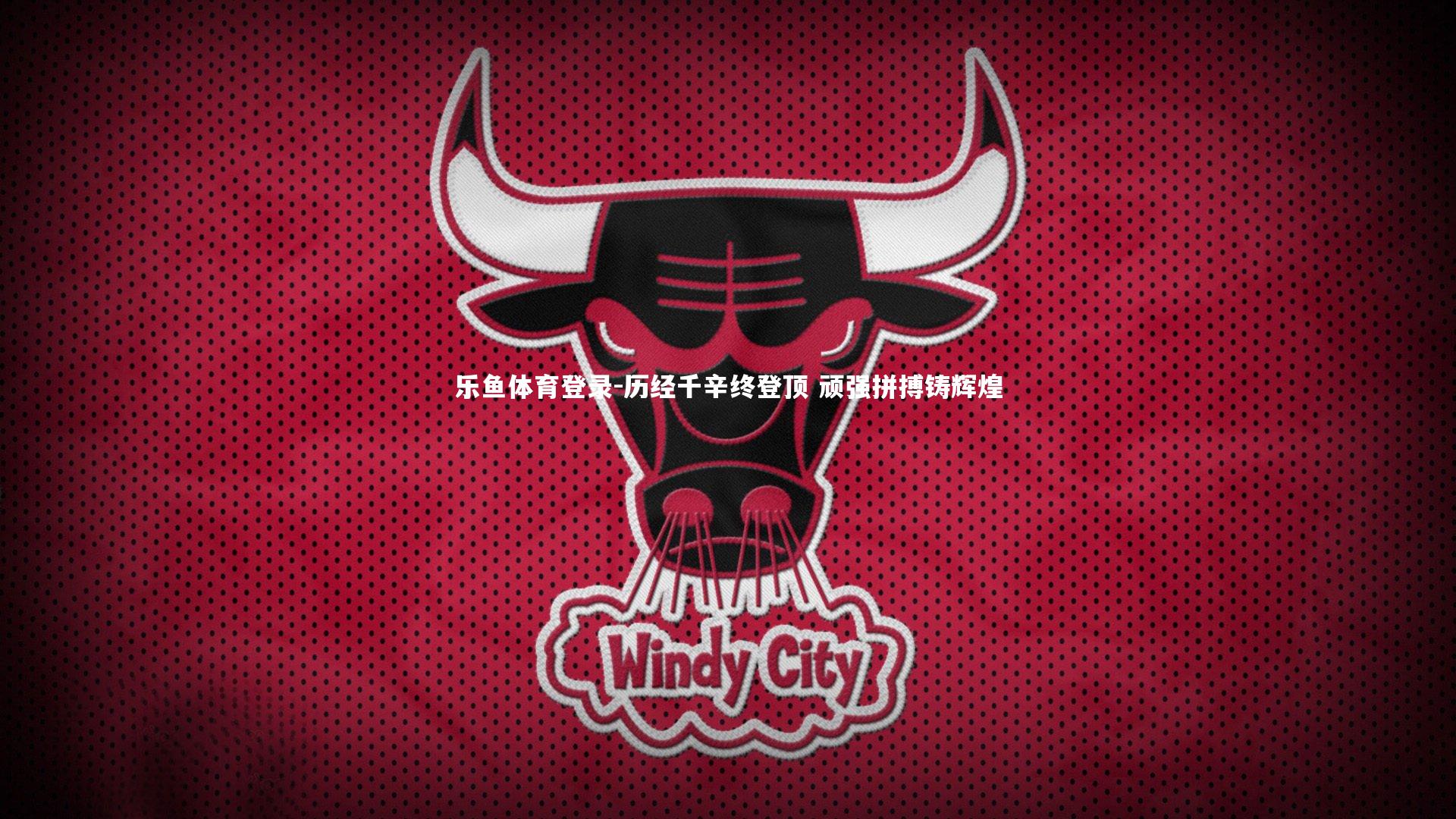 乐鱼体育登录-历经千辛终登顶 顽强拼搏铸辉煌